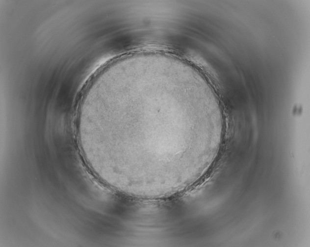 X0000091330828200709071155