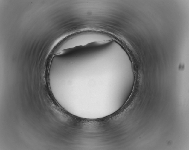 X0000091330830200709071155
