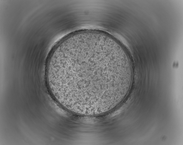 X0000091330831200709071155