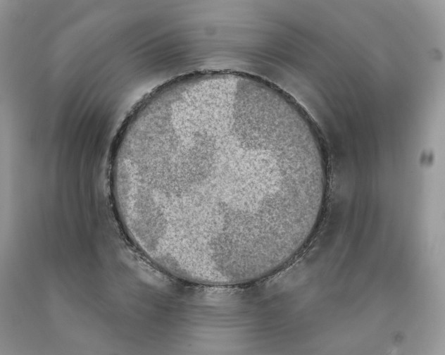 X0000091330832200709071155