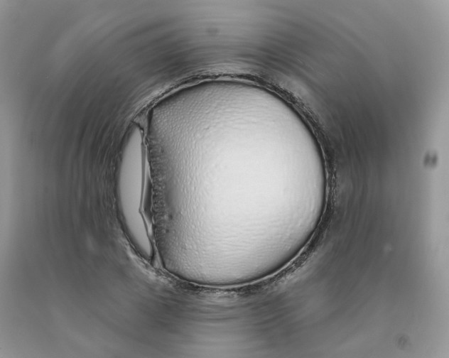 X0000091330833200709071155