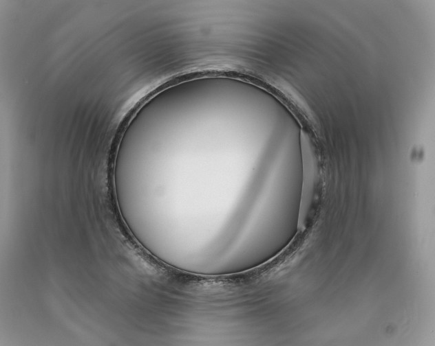 X0000091330834200709071155