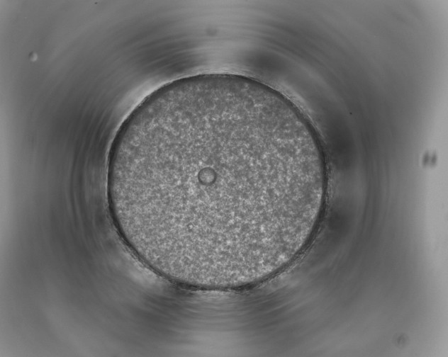 X0000091330836200709071155