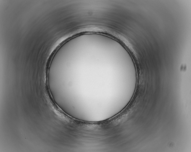 X0000091330837200709071155