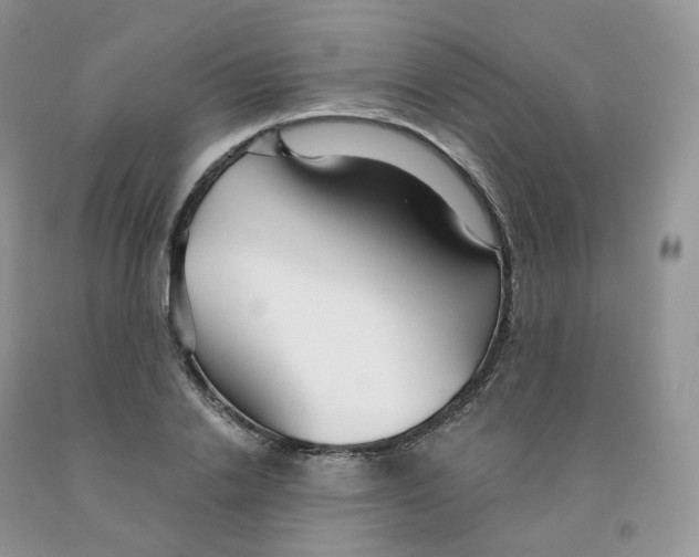 X0000091330838200709071155