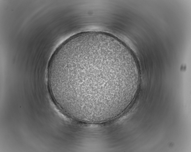 X0000091330839200709071155