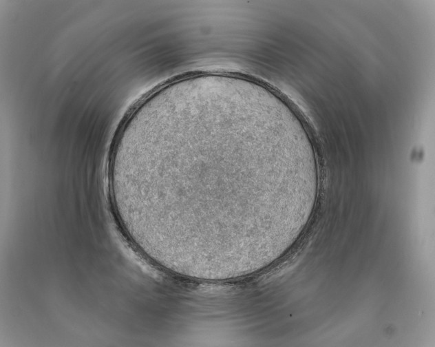X0000091330840200709071155