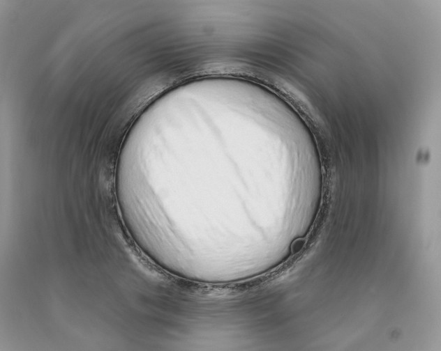 X0000091330841200709071155