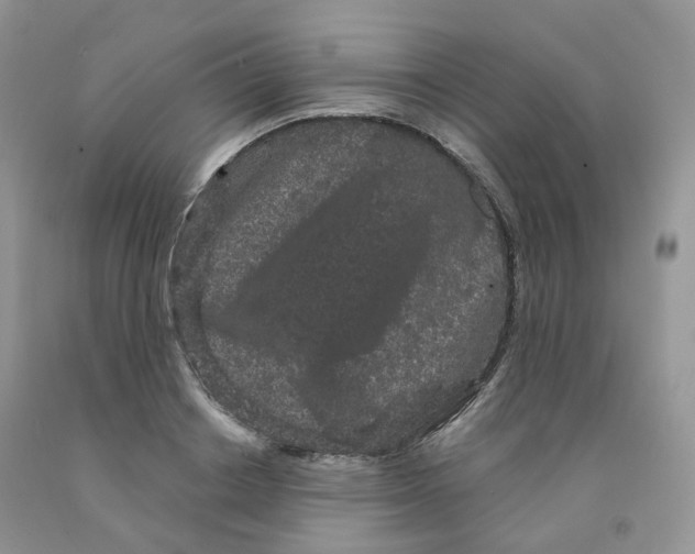 X0000091330842200709071155