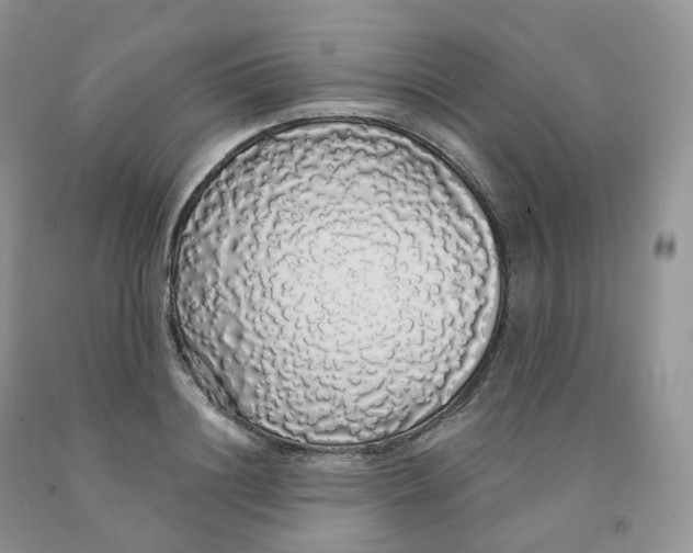X0000091330844200709071155