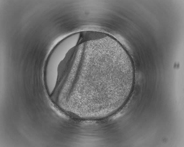 X0000091330846200709071155