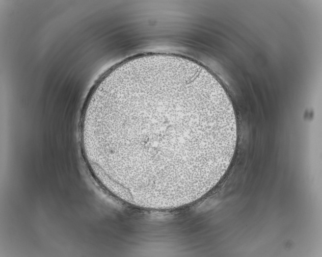 X0000091330848200709071155
