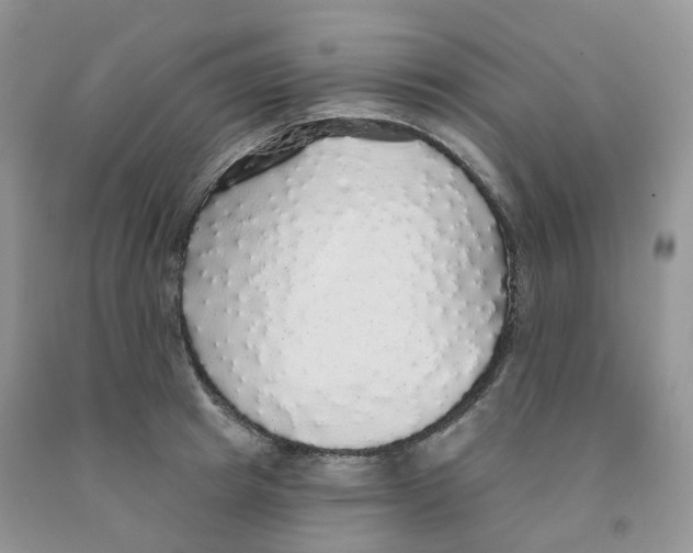 X0000091330849200709071155