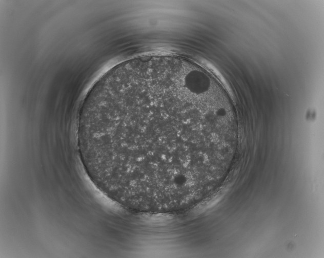 X0000091330851200709071155