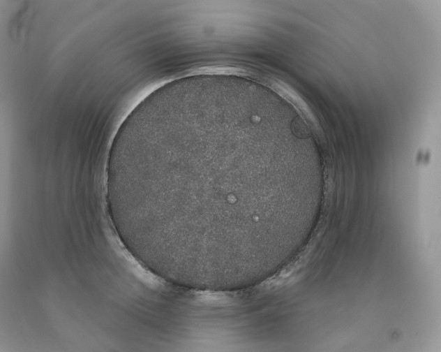 X0000091330852200709071155
