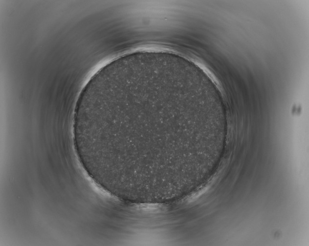 X0000091330853200709071155