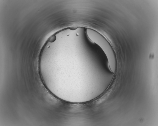 X0000091330854200709071155
