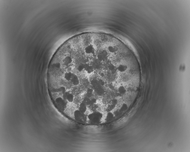 X0000091330855200709071155