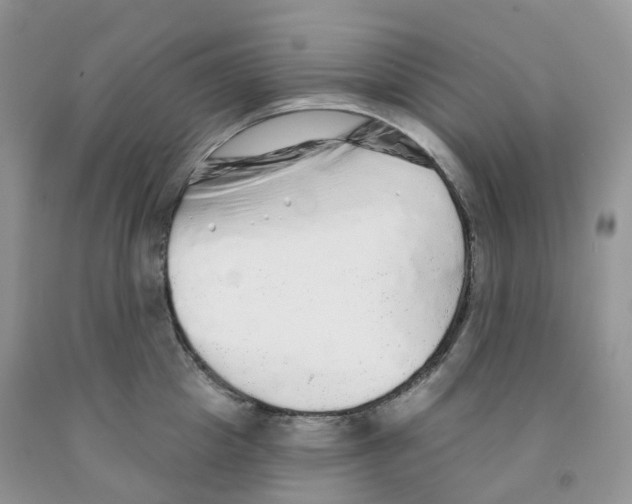 X0000091330857200709071155