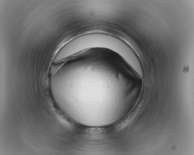 X0000091330858200709071155