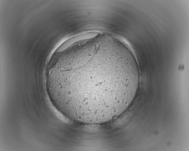 X0000091330859200709071155