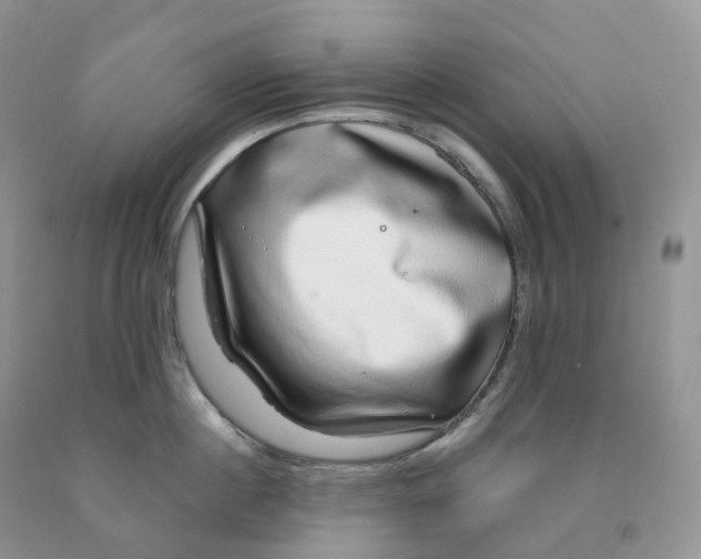 X0000091330860200709071155
