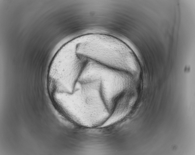 X0000091330861200709071155