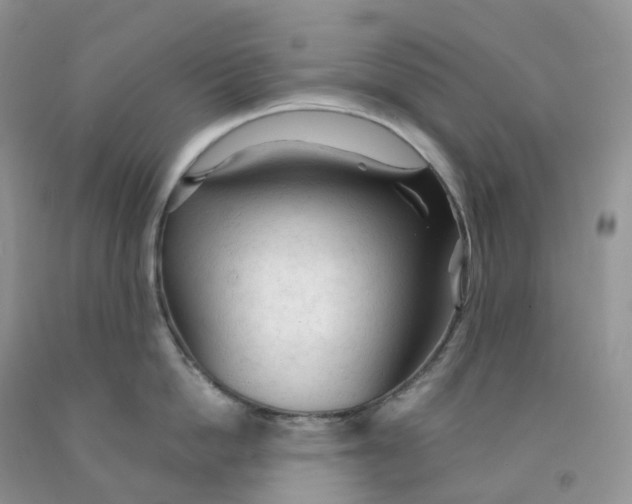 X0000091330862200709071155