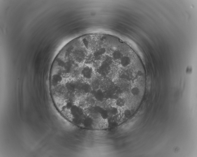 X0000091330863200709071155