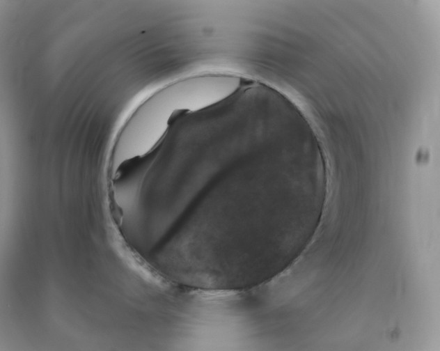 X0000091330864200709071155