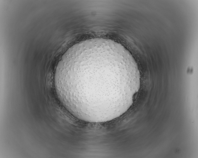 X0000091330866200709071155