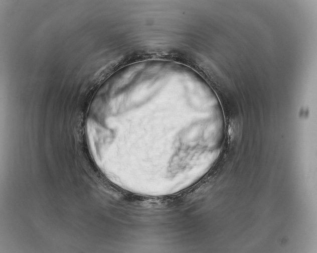 X0000091330867200709071155