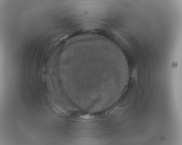 X0000091330868200709071155