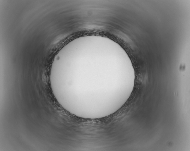 X0000091330869200709071155
