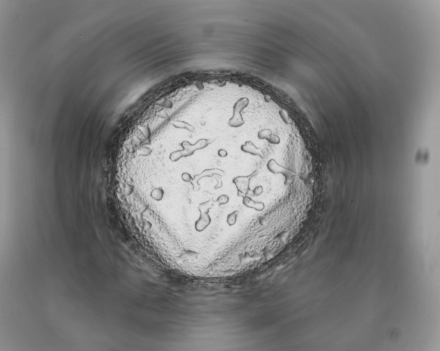 X0000091330871200709071155