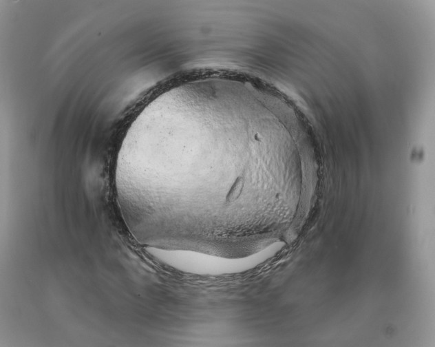 X0000091330872200709071155