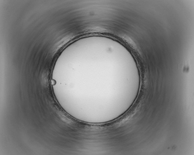 X0000091330873200709071155