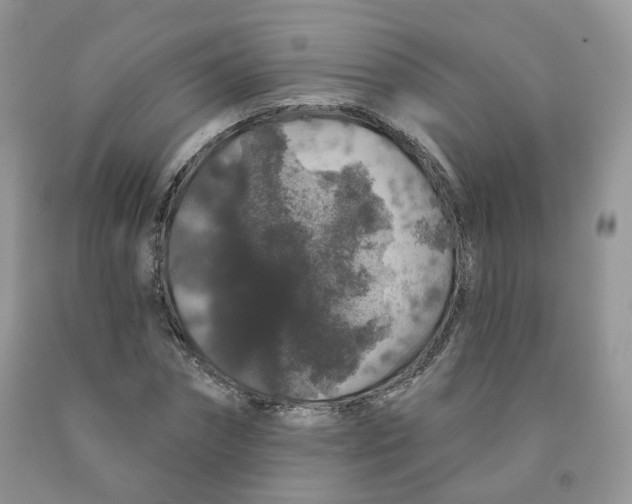 X0000091330874200709071155