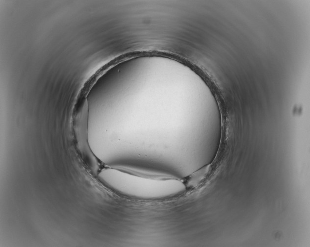 X0000091330876200709071155
