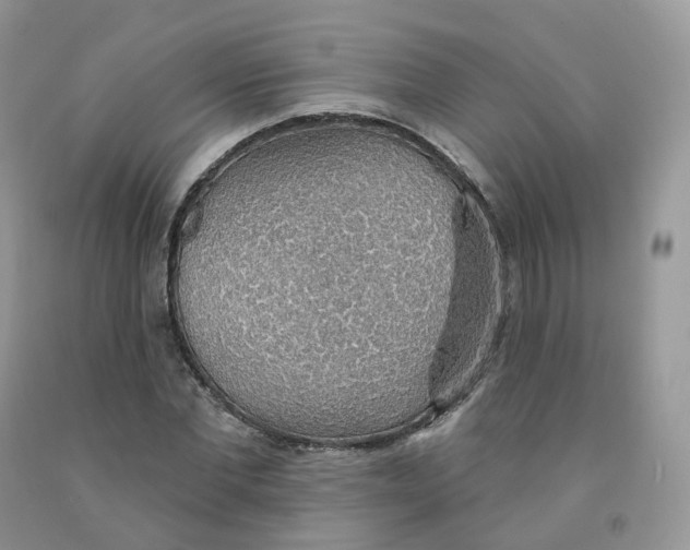 X0000091330877200709071155