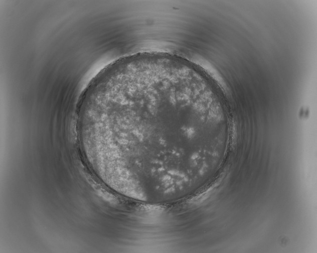 X0000091330878200709071155