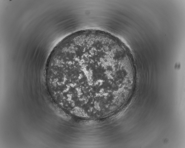 X0000091330879200709071155