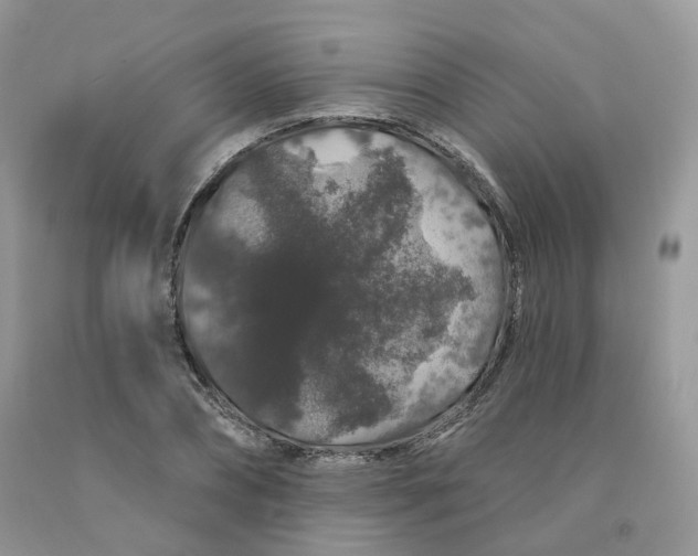 X0000091330882200709071155