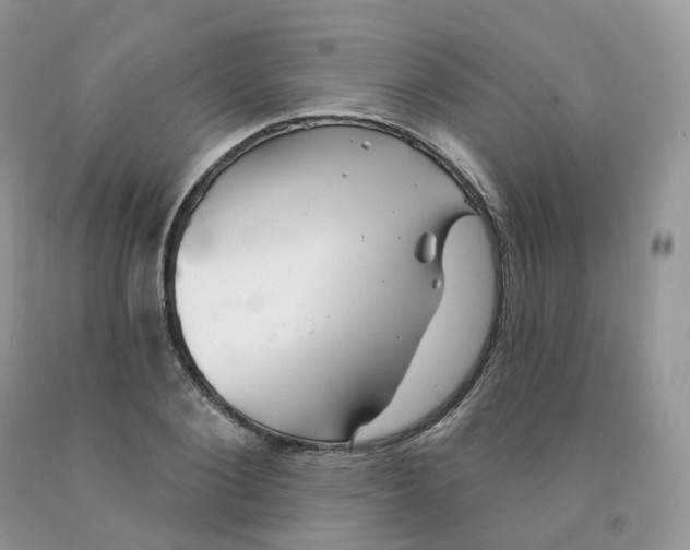 X0000091330884200709071155