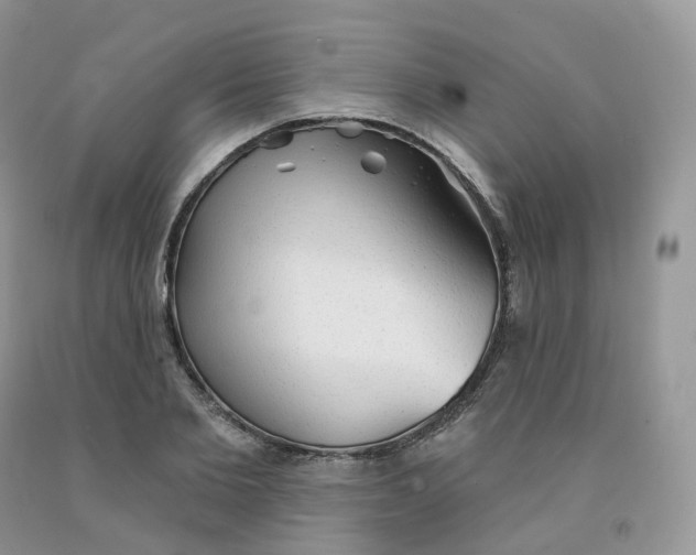 X0000091330885200709071154