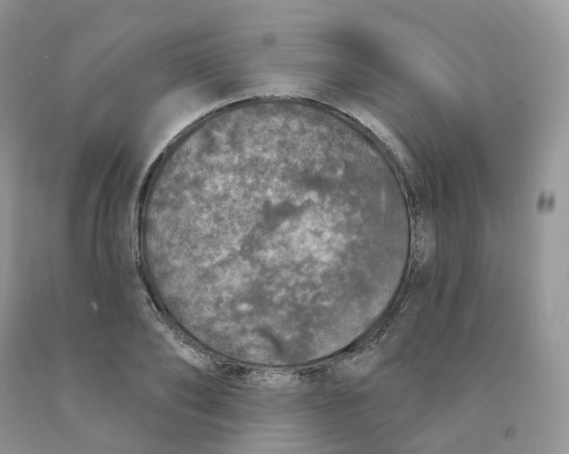 X0000091330886200709071154