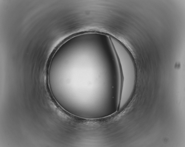 X0000091330888200709071154