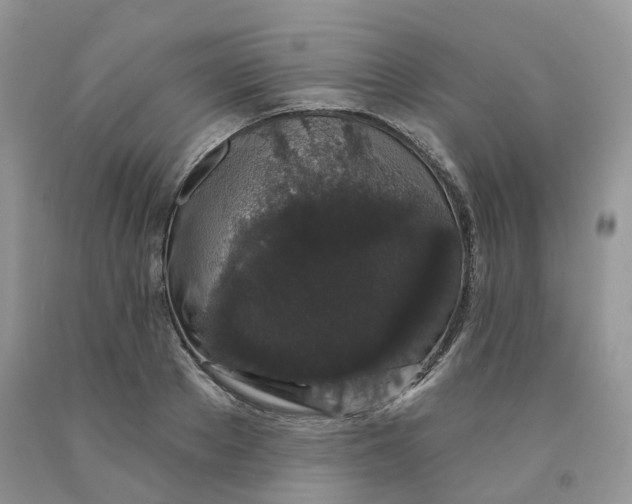X0000091330889200709071154