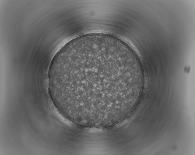X0000091330890200709071154