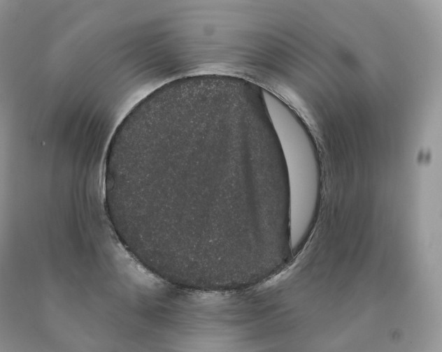 X0000091330892200709071154